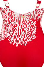 Entero Con Control de abdomen Bicolor Koralina